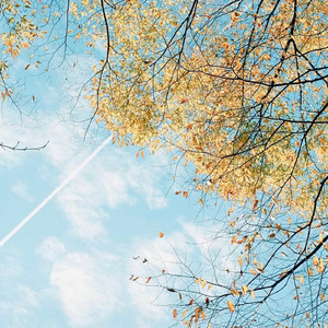 Golden Brown (Instrumental)