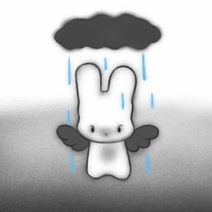 心如止水尾奏（加长版）