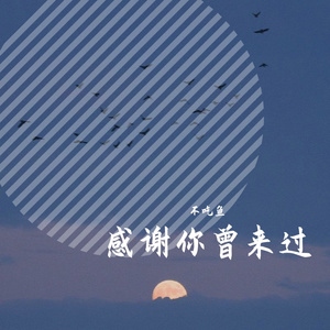 感谢你曾来过（翻自 周思涵/Ayo97）