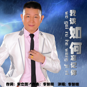 我该如何忘记你