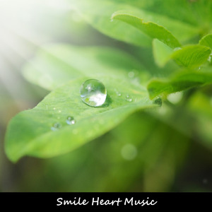 朝露に輝く小さな旋律