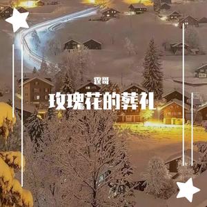 许嵩-玫瑰花的葬礼(钢琴男版)（霆哥 remix）