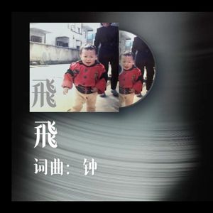 飛（demo）