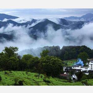 谁不说俺家乡好（笛子演奏）