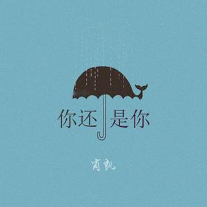 你还是你