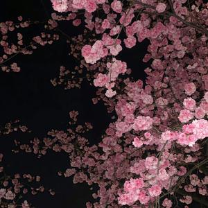 四方之王（淇滨高中）