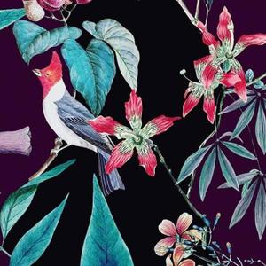 The Loneliest Girl（翻自 Nai Br.XX）