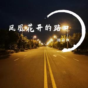 骄傲的少年（翻自 南征北战）