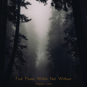 Find Peace Within, Not Without