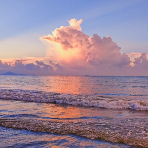 海浪卷走我的心事