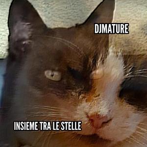 INSIEME TRA LE STELLE