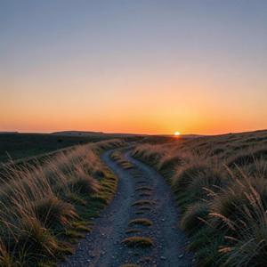 Warmth at My Fingertips (Ohn-gee-ga Sohn-kkeut-eh)