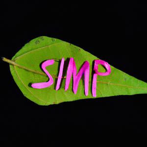SIMP (feat. Sweetbabyjesus)