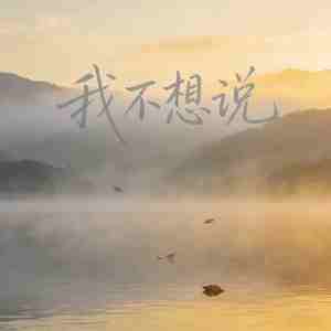 我不想说