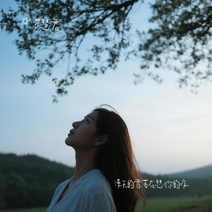 漫天的雪落在想你的夜