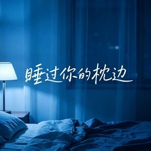 睡过你的枕边（DJ版）