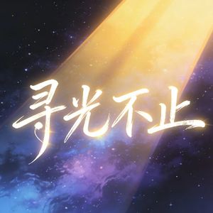 寻光不止
