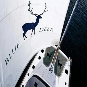 Walking on Air on His Feelings