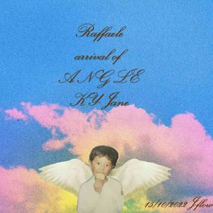 拉斐尔 天使降临