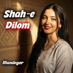 Shah-e Dilom