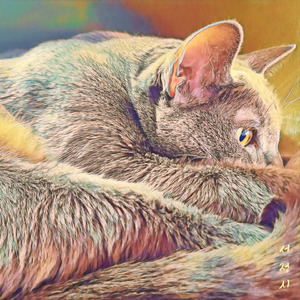 홒 (Feat. 박필규)