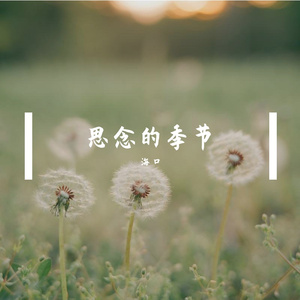 思念的季节