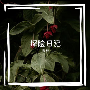 无人之境的探险