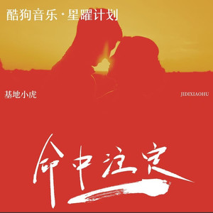 命中注定 (DJ默涵版)