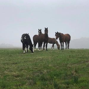 A te / Dat komt door jou