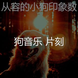 有趣可爱的狗情怀