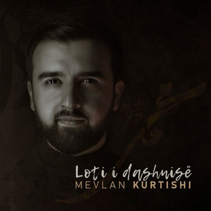 Loti i Dashnisë