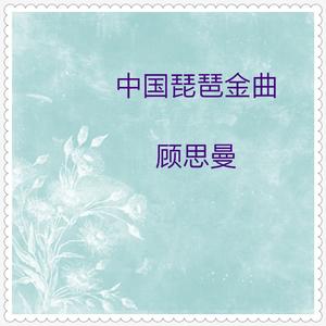 昭君出塞 (琵琶独奏)