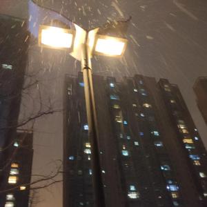 GOOD NIGHT（COVER 小鬼）（翻自 Lil Ghost小鬼）