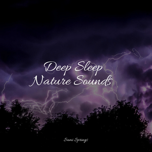 Wind, Rustling, Trees, Vegetation