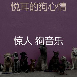 微妙的可爱的狗心情