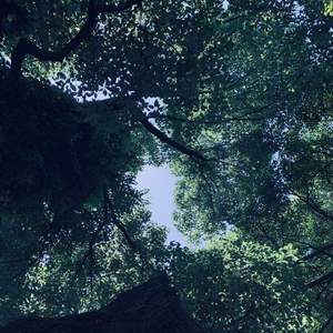 如果没有如果remix