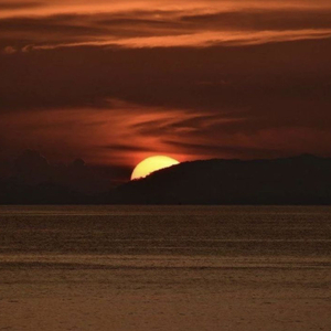 A Perfect Day Begins