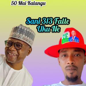 Sani 313 Falle Uku Ne