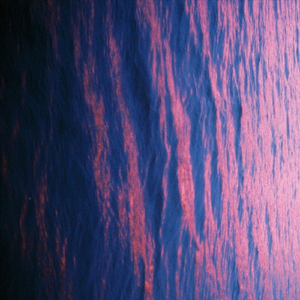 Музыка Для Котов