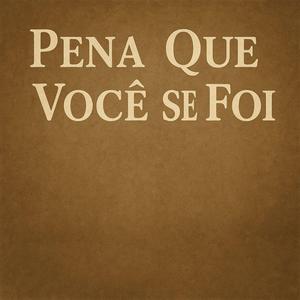 Pena Que Você Se Foi