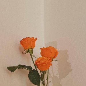 小手拉大手.尤克里里