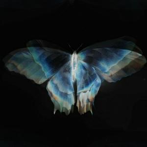 翻盘局进行曲 (杀)