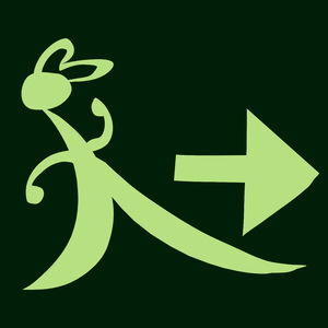 两只腿，两只手，两个胳膊，两只脚