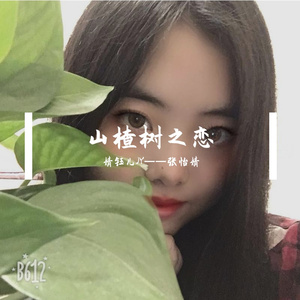 山楂树之恋（翻自 程佳佳）