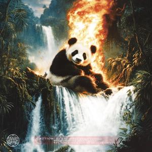 TRANCEDELIC THERAPY (963hz Gamma)