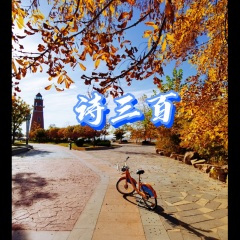 我是梅花你是雪 (Clean)