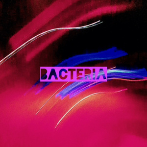 BACTERIA