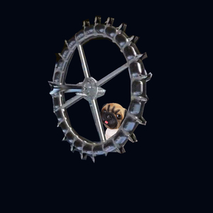 space puppy 太空小狗