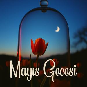 Mayıs Gecesi