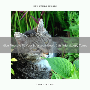 Leaves Noises Especially For Beloved Cats